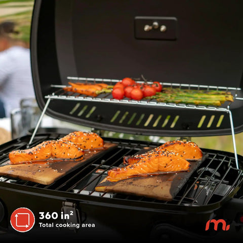 One Burner Portable Gas Grill With Locking Lid, 11,000 BTU Stainless Steel Burner, Foldable Legs, grilling fish and vegetables