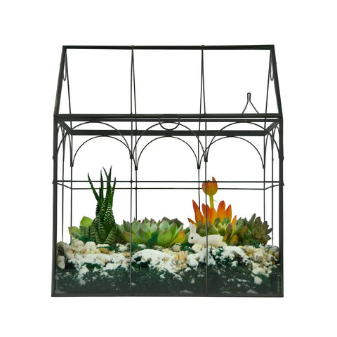 Large Tall Glass Terrarium With Lid For Indoor Plants Dope Desktop Greenhouse Enclosure For Orchids Succulents And Cacti Tall Tabletop Display In Black Frame 8.7 By 5.9 By 10.6 Inches Easy Lift Lid