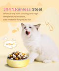Built Tough Double Wall 304 Stainless Steel Chow Bowl For Small Dogs And Puppies with kibble and a cat.