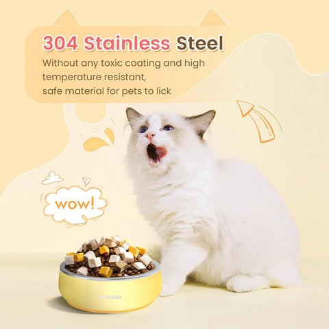 Built Tough Double Wall 304 Stainless Steel Chow Bowl For Small Dogs And Puppies with kibble and a cat.