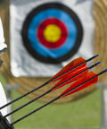 Arrows with feather fletching in front of archery target, 4 Inch Turkey Feather Arrow Vanes Left Wing Fletching 25 Pack Yellow For DIY Archery Arrows Target Practice And Hunting Lightweight Durable Shield Cut For Dope Accuracy