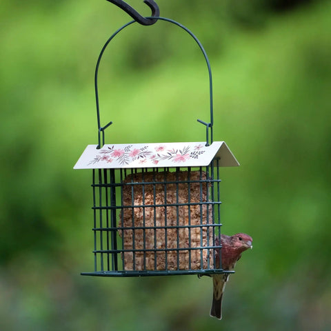 Rustic Black Metal Suet Cage Feeder For Outdoor Bird Watching, Hanging Bird Feeder With One Suet Cake Capacity