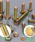 Assorted bolts and nuts from Beefy 775 Piece Bolt Nut And Washer Kit With M6 M8 M10 Set Heavy Duty Metric Hardware In A Handy Organizer Case
