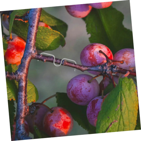 Set Of 10 Fruit Tree Pullers And Branch Spreader Tools, Easy Install, Adjustable Bend And Straighten Device For Pruning shown on branch
