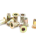 100 Piece M3 Zinc Coated Rivet Nut Set With Low Profile Threaded Inserts Shop Grade Assortment Kit For Automotive Metal Fabrication showing threaded inserts.