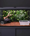 Reptile terrarium with a branch, water dish, and foliage inside, placed on a cabinet.