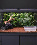 Glass terrarium with jungle theme, featuring plants, a branch, a hide, a thermometer, and a water dish on substrate.