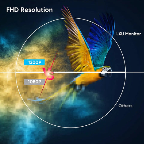 Comparison of 1200P FHD resolution on LXU Monitor displaying a parrot, demonstrating quality over 1080P alternatives.