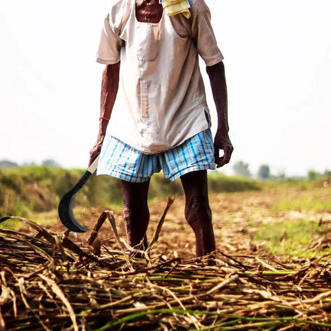 A person using Long Handle Hand Scythe For Gardening And Weeding With Manganese Steel Blade Black Half Moon Grass Cutter in a field.