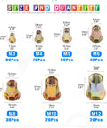 320Pcs Rivet Nut Assortment Kit M3 M4 M5 M6 M8 M10 M12 Half Hex Body Flange Rivet Nuts Zinc Plated Carbon Steel