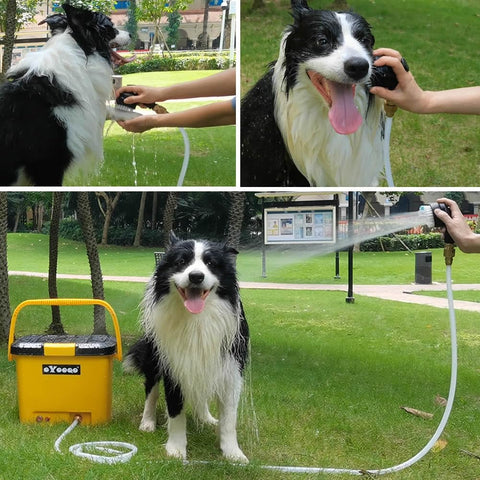 Compact Portable Pressure Washer With 5 Gallon Tank And 255 Psi For Easy Car Washes Pet Bath Home And Patio Cleaning Plus A Camper Friendly 45 Minute Runtime For Off Grid Adventures spraying water on a happy dog outdoors.