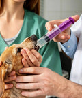 8 Piece 60ML External Spiral Syringe Set With Purple Plunger And Sealing Screw Cap For Pet Feeding Lab Use And Liquid Dispensing in use with a dog.