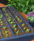 Tray of seedlings in SucSeed Premium Seed Starter For Fast Germination And Strong Seedling Growth, 244 Cubic Inch Capacity Pack Of 1