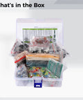Open box of Dope 1818-Piece Electronics Component Kit with LEDs, resistors, capacitors, and PCB board neatly organized.