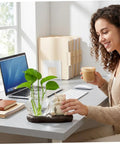 Dope Glass Propagation Station With Wood Display Vases For Water Rooting, used on desk by woman with laptop and coffee