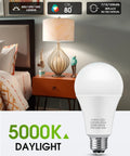 Three Way LED Light Bulbs 50 100 150W Equivalent, Daylight White 5000K A19 LED Bulbs displayed in a lamp setting