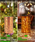 Dragonfly Solar Lantern Outdoor Decor For Patio And Garden, Waterproof Metal Hanging Light With LED Warm Glow, 1 Pack