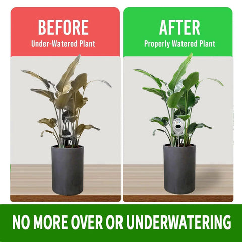 Comparison of under-watered and properly watered plants using Deep Probe Soil Moisture Meter With 11.02 Inch Long Sensor.