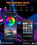 Lit Interior Car LED Strip Lights With Wireless App And Remote Control display showing RGB settings and remote control options.