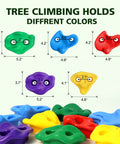 Five colorful tree climbing holds with measurements for Ninja Tree Climbing Holds Set For Kids And Grownups.