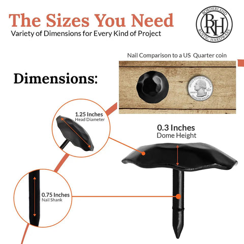 Rustic 1.25 Inch Round Head Decorative Nails Set Black Nails dimensions with nail size comparison to US quarter coin
