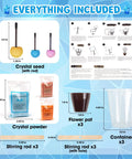 Contents of Crystal Growing Kit For Kids 8 To 12, Fast 24 Hour Science Lab Toys Set For STEM Learning, Easy DIY Crystal Experiments