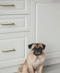 Cabinet with vintage antique brass drawer pulls and a pug
