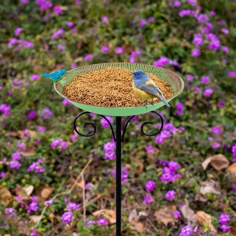 Durable 10 Inch Standing Metal Bird Bath With Stake Outdoor Garden Feeder Bowl Vintage Green Yard Decor For Patio