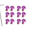 12 Pack Bicycle Disc Brake Bolts M5x10mm Stainless Steel Screws With T25 Wrench Purple Dope For MTB Rotor Hardware Rustproof And Strong Braking Performance