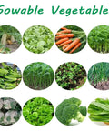 Collage of sowable vegetables including cabbages, carrots, and greenery ideal for use with Precision Hand Push Garden Seeder.