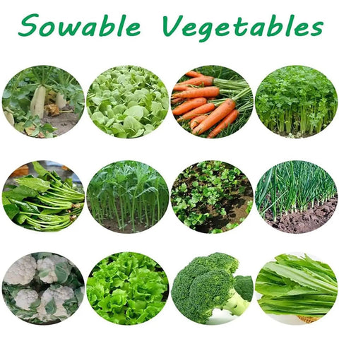 Collage of sowable vegetables including cabbages, carrots, and greenery ideal for use with Precision Hand Push Garden Seeder.