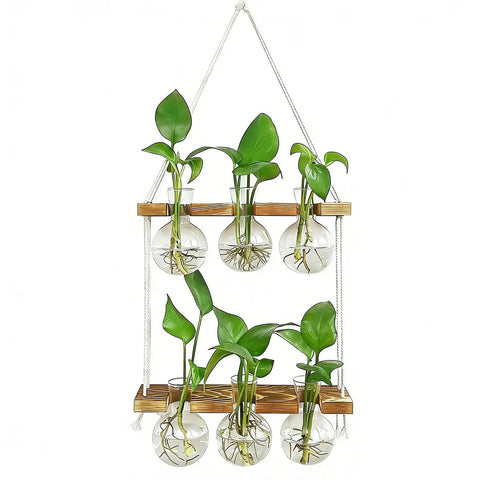 Wall Hanging Plant Propagation Station With 6 Glass Bulb Vases Two Tier Wooden Terrarium Stand For Hydroponics Awesome Gift
