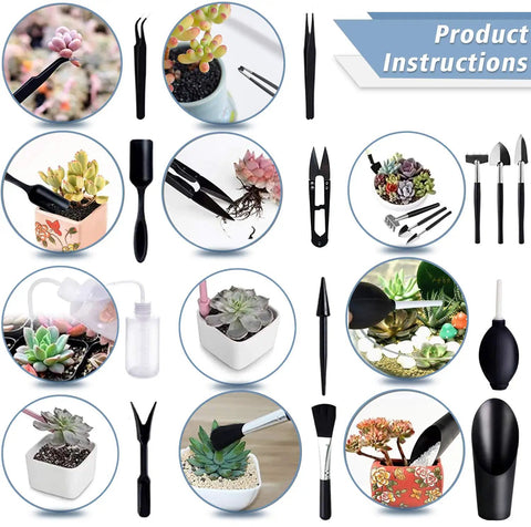 All-In-One Succulent Tools Set With 13-Piece Mini Garden Kit For Transplanting And Care, various tools and succulents displayed