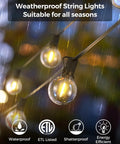 Lit Smart Outdoor String Lights For Patio 100 Ft Dimmable WiFi Lights With 50 G40 LED Bulbs Warm White Waterproof Shown in Rain