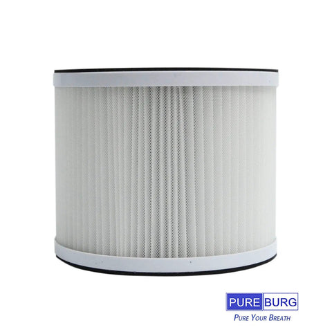 Replacement Filter For RIGOGLIOSO GL2109 And SimPure P03 Air Purifiers Two Pack H13 True HEPA Three Stage Filtration Cylinder Design
