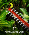 Close-up of hedge trimming with 40V Cordless Hedge Trimmer With 24-Inch Steel Blades 1-Inch Cutting Capacity