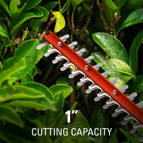 Close-up of hedge trimming with 40V Cordless Hedge Trimmer With 24-Inch Steel Blades 1-Inch Cutting Capacity