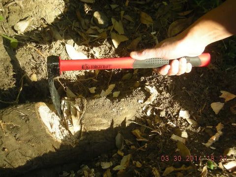 Forged Adze With Fiberglass Handle Built Tough For Real Garden Pros, Fourteen Inch Overall Length, Five And A Half Inch Hoe Blade