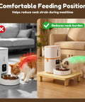 Elevated Cat Food Stand For Automatic Feeders Supporting Furbaby Neck Comfort With Solid Pine Build, shown in ergonomic design.