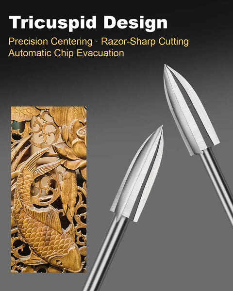 Tricuspid three-edge spiral bits from Five Piece HSS Wood Drill Bit Set With 1/8 Inch Shank for precise woodworking.