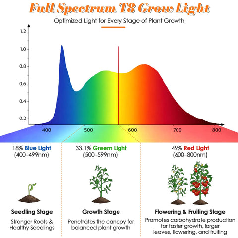 Graph showing light spectrum stages for Seed Starter Tray With Grow Lights And Heating Tray, benefiting seedling, growth, and flowering.