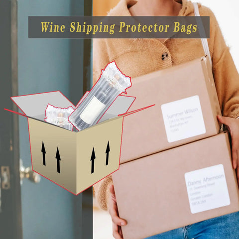 Wine Bottle Travel Protector Bags Set With Pump 10 Inflatable Air Column Cushions in shipping box with packages