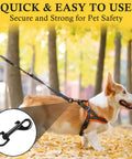 Top Tier Badass Rugged Zinc Alloy Swivel Trigger Snaps 2.67 Inch Single Sided Clips One Hand Quick Release Carabiner For Camera Bag Lanyard And Everyday Carry 10 Pack in use for dog leash.