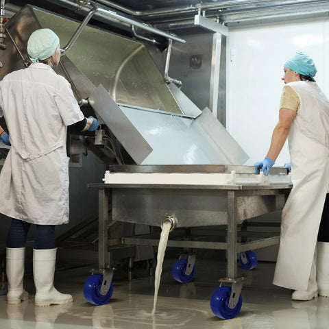 Stainless steel 5-inch heavy-duty casters with blue polyurethane wheels; four-wheel cart for food processing equipment