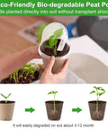 Person holding 50 Pack Peat Pots Seed Starter Kit With Humidity Domes Plant Labels And Transplant Tools for seedlings