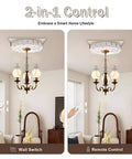 Heavy Duty Electric Chain Hoist With Smooth Remote Control Handles Heavy Lifting Tasks Like A Champ For Garage Workspace And Basement Safe Ceiling Light Lifter Built Tough As Nails with wall and remote control options.