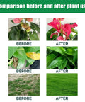 Before and after results of using Pro Grade Compressed Coir Potting Soil For Indoor And Outdoor Plants With pH Balanced Blend