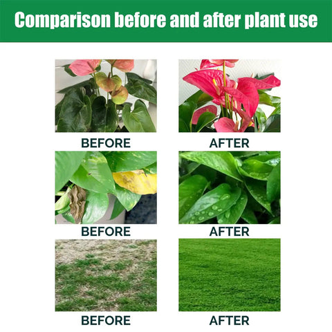 Before and after results of using Pro Grade Compressed Coir Potting Soil For Indoor And Outdoor Plants With pH Balanced Blend