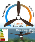 Pretty Sweet 52 Inch Ceiling Fan With Bright Led Lights And Wireless Remote Control featuring summer and winter modes, 6-speed settings.