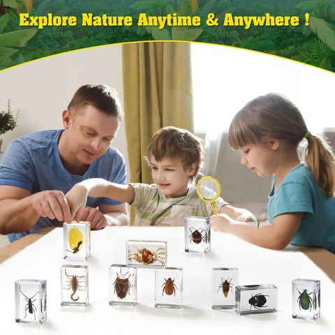 Family exploring 15 Varied Insect Specimens Resin Set With Real Butterflies And Beetles For Science Classrooms And Biology Labs